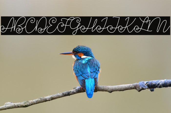 Growing Script free Example 2