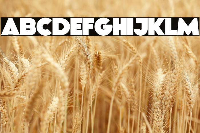 Growland Black Example 3