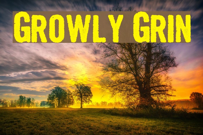 Growly Grin Font examples