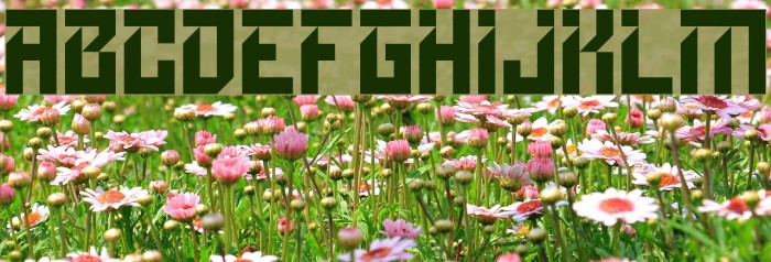 Growlyns Font examples