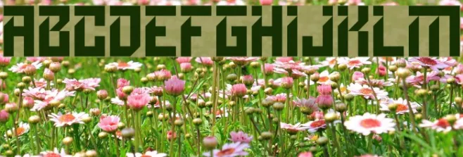 Growlyns Example 2