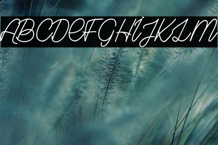 Grown Localy_PersonalUseOnly Example 1