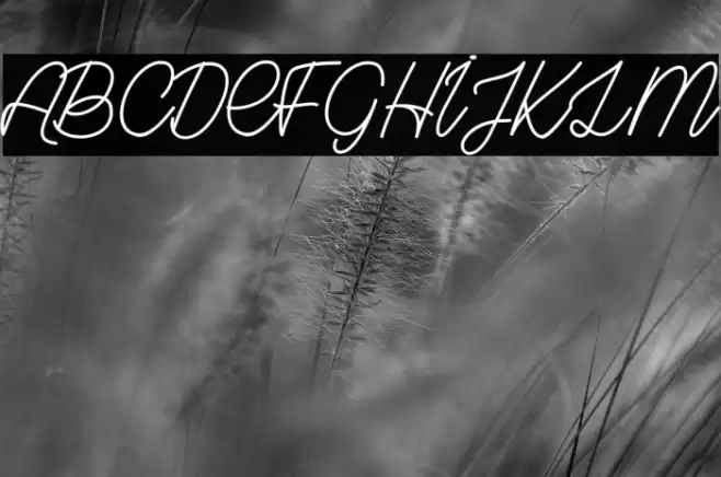 Grown Localy_PersonalUseOnly Font examples