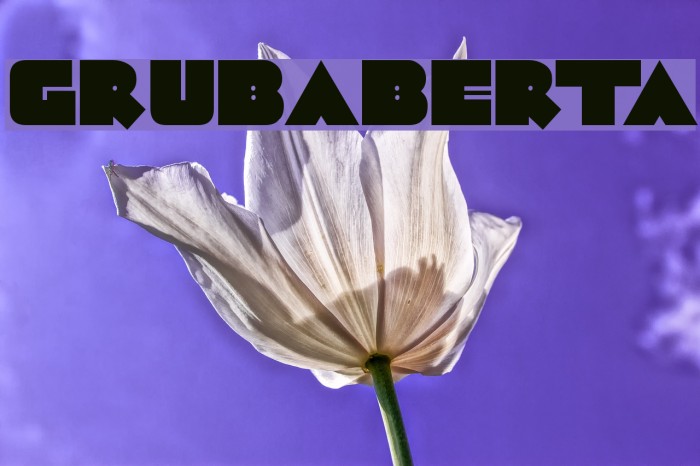 GrubaBerta Example 2