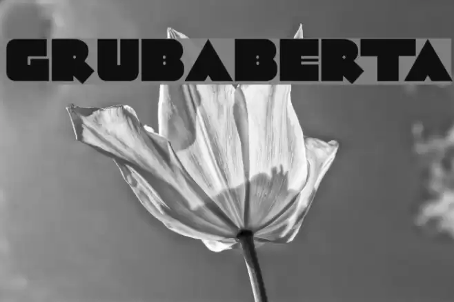GrubaBerta Font examples