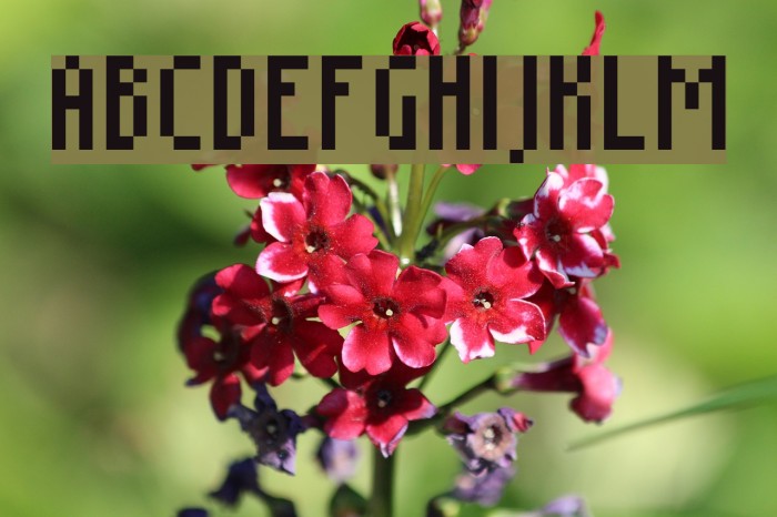 Grudblitter Font examples