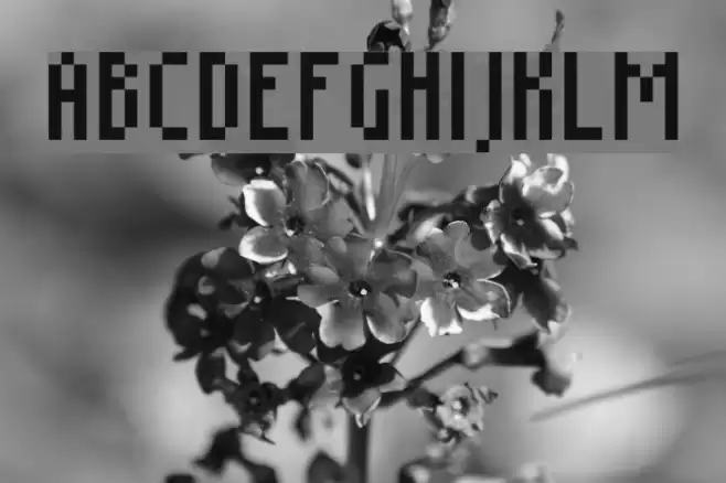 Grudblitter Font examples