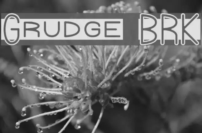 Grudge BRK Font examples