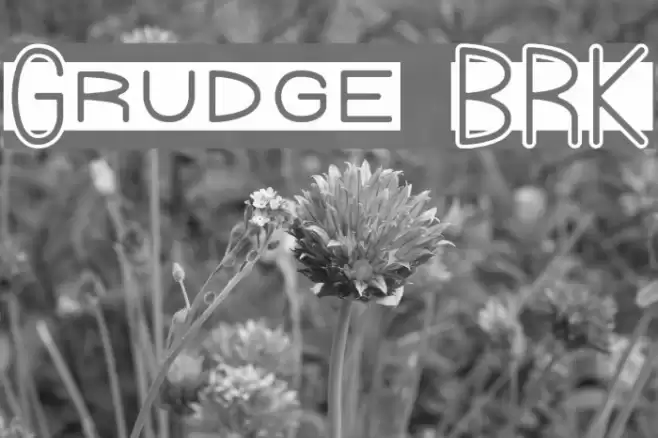 Grudge BRK Font examples