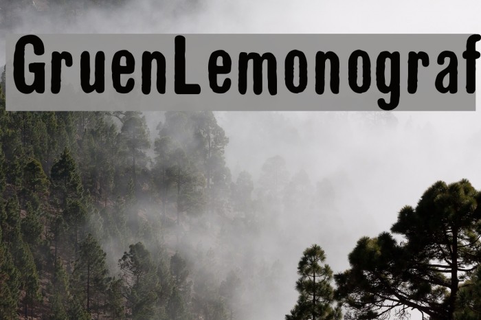 GruenLemonograf Font examples