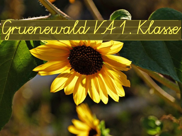 Gruenewald VA 1. Klasse Font examples
