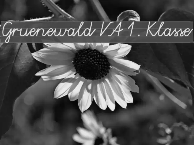 Gruenewald VA 1. Klasse フォント examples