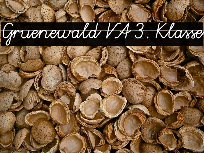 Gruenewald VA 3. Klasse Font examples