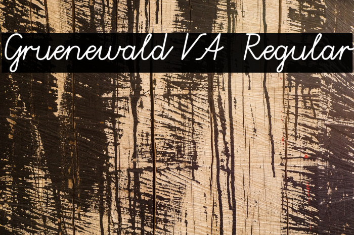 Gruenewald VA Regular Font examples