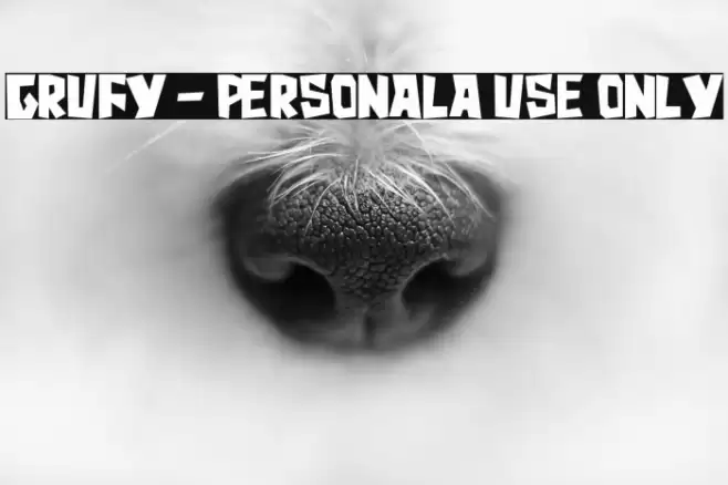 Grufy - Personala use only Шрифта examples