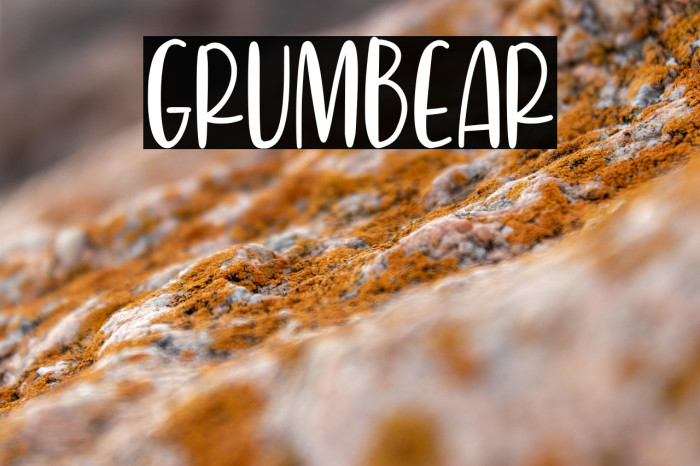 Grumbear Example 1