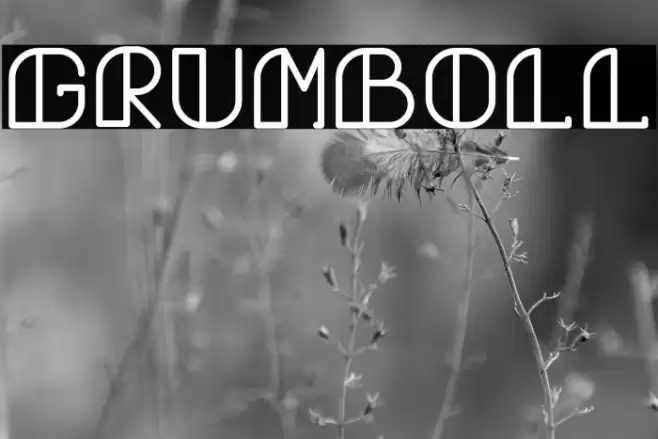 Grumboll Font examples