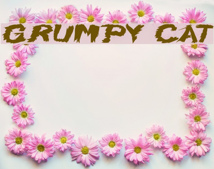 Grumpy Cat Font examples