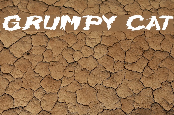 Grumpy Cat Font examples