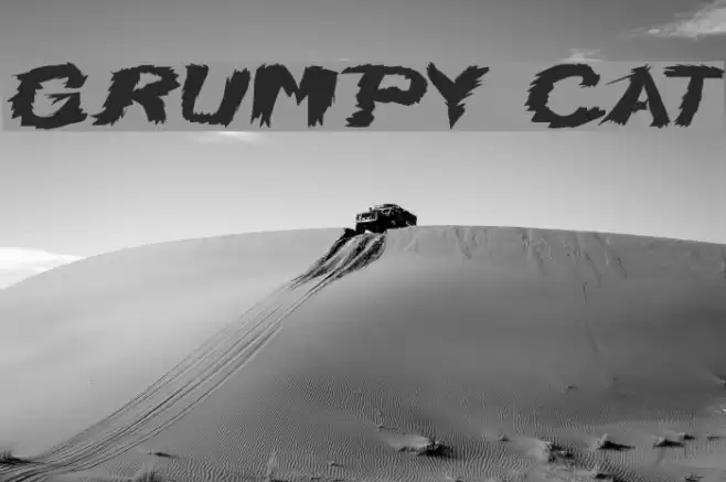 Grumpy Cat Font examples