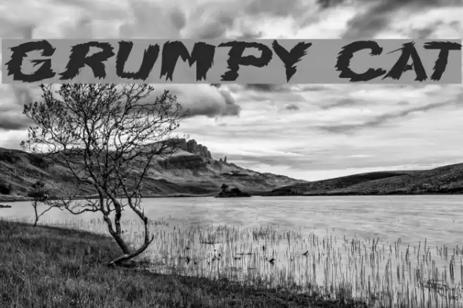 Grumpy Cat Font examples