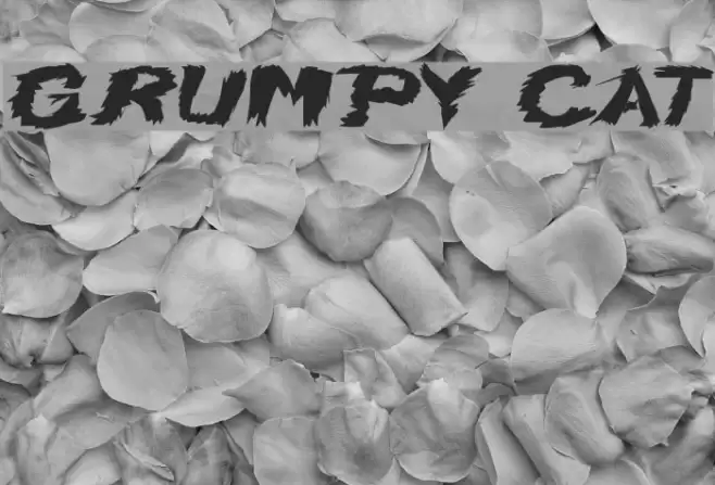 Grumpy Cat Font examples