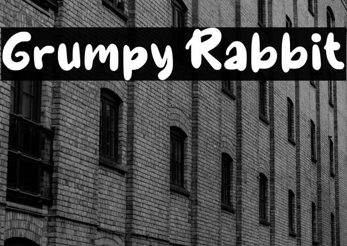 Grumpy Rabbit Example 3