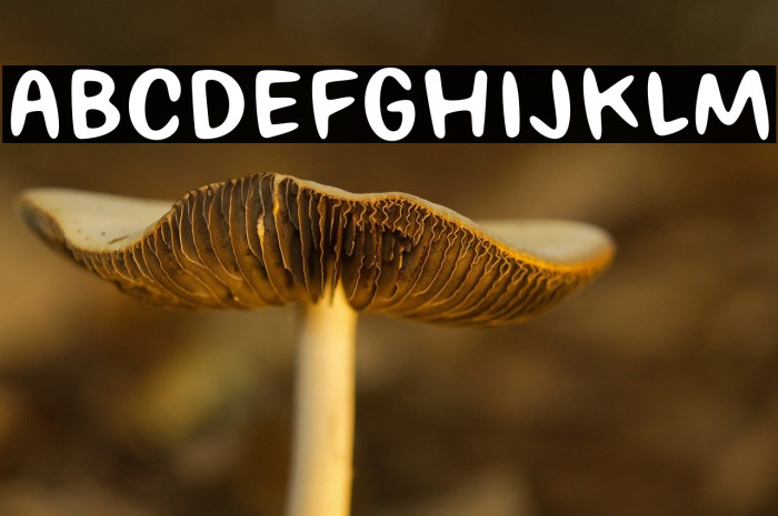 Grumpy Sunshine Demo Example 1