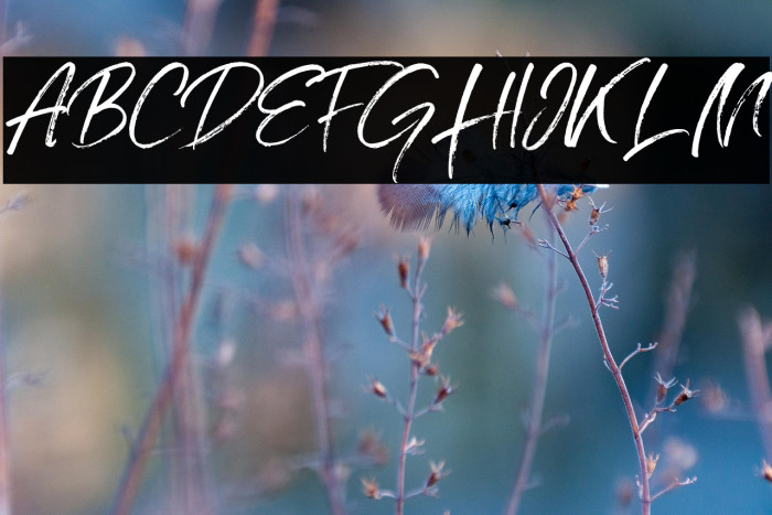 Grumpys Regular Example 1