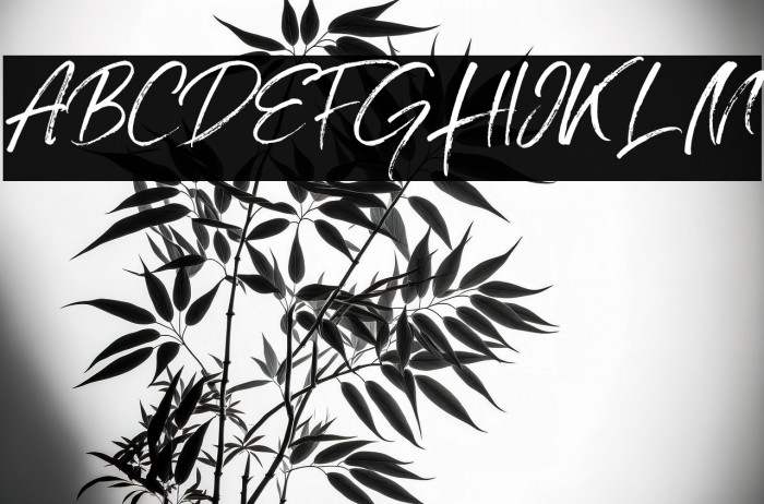 Grumpys Regular Example 3