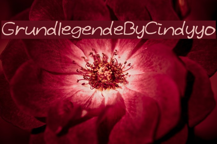 GrundlegendeByCindyyo Font examples