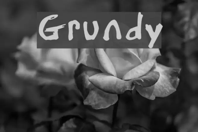 Grundy Font examples