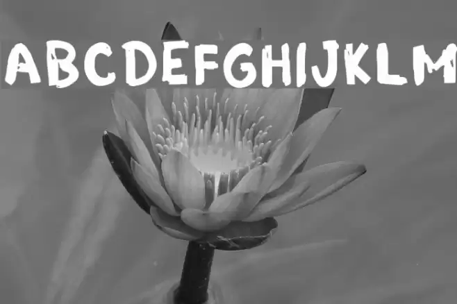 Grunge Band Regular Font examples