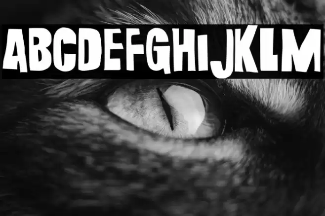 Grunge Bold Font examples