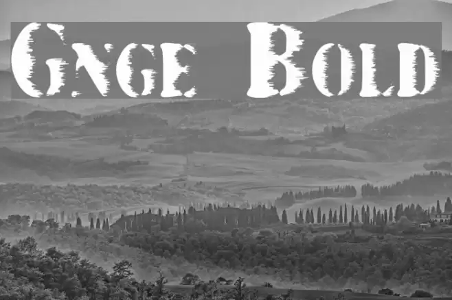 Grunge Bold Font examples