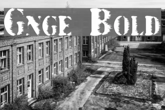 Grunge Bold Font examples