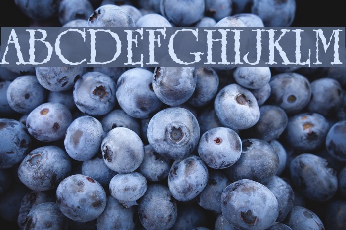 Grunge Caltek Bold Font examples