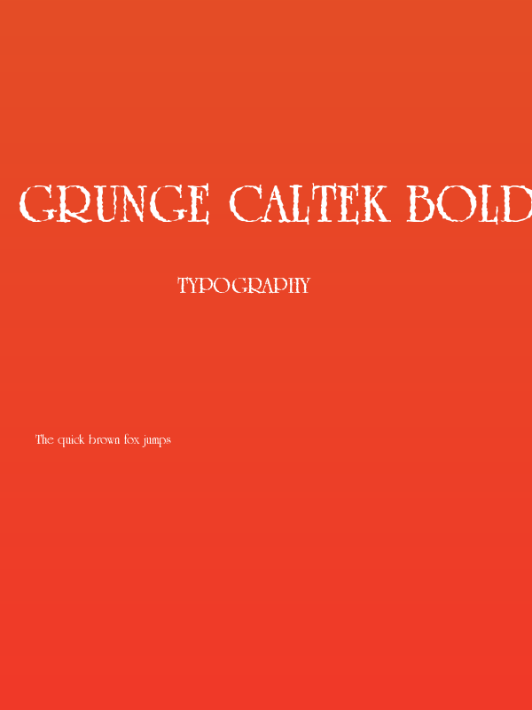 Grunge Caltek Bold Poster