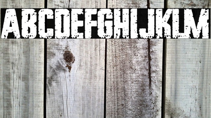 Grunge Manifesto Example 2