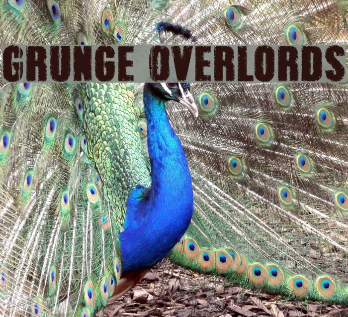 Grunge Overlords Font examples
