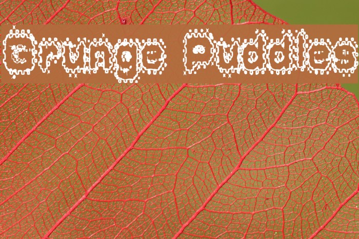 Grunge Puddles Font examples