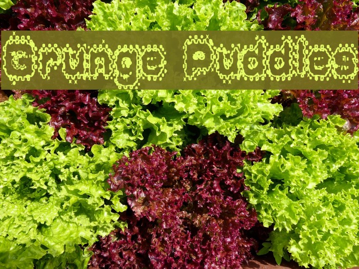 Grunge Puddles Font examples
