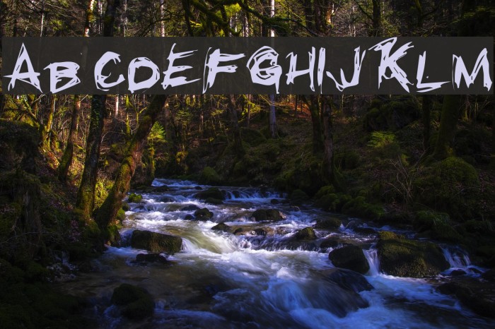 Grunge Regular Font examples