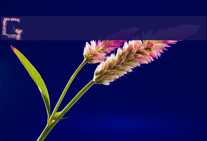 Grunge zinda bad Example 3