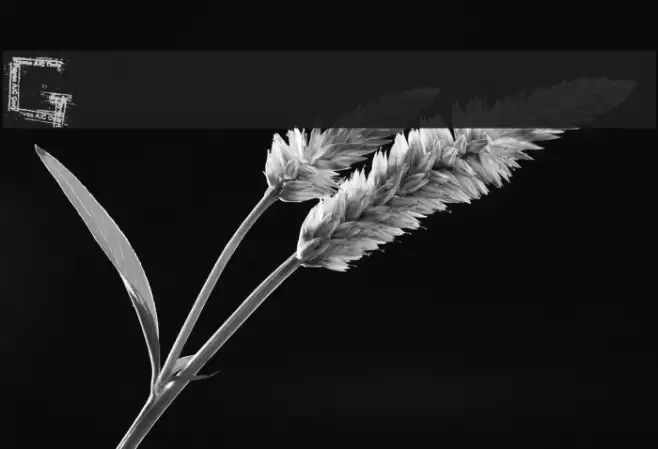 Grunge zinda bad Font examples