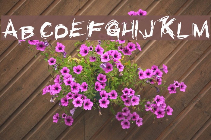 Grunge Font examples