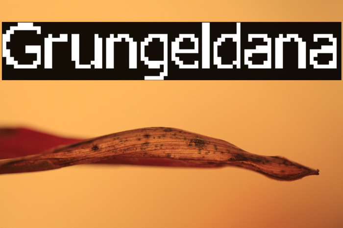 Grungeldana Example 1