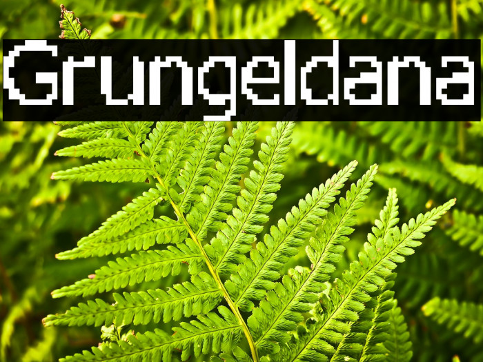 Grungeldana Example 3