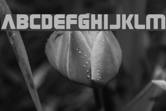 Grungerocker Font examples