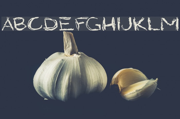 Grungy StyleRegular Font examples